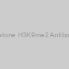 Histone H3K9me2 Antibody